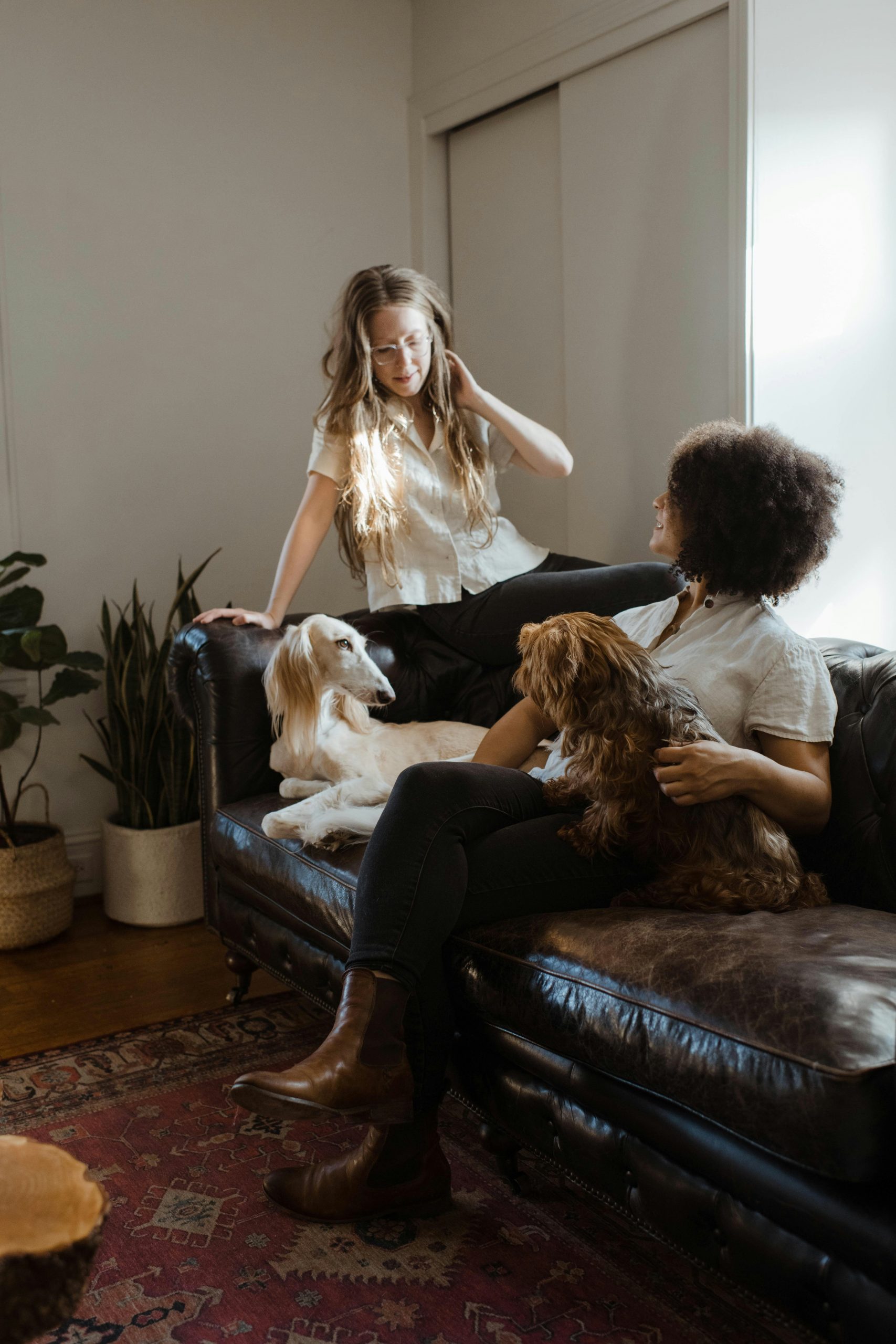 Hundebesitzer mit ihren Hunden auf dem Sofa